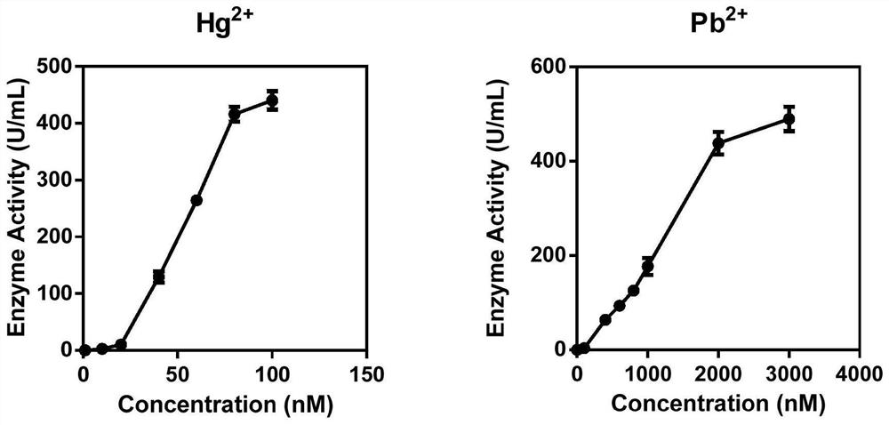 Whole-cell biosensor for detecting heavy metal ions in water-soluble samples and its construction and application