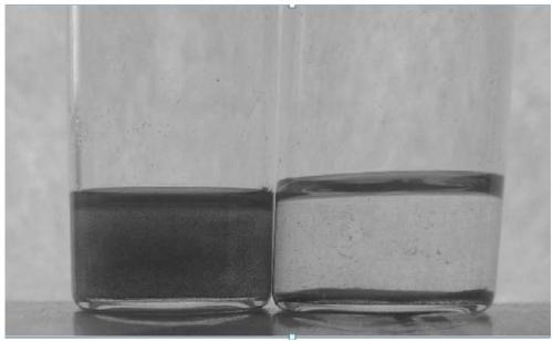 Amidation modified graphene oxide and preparation method and application thereof