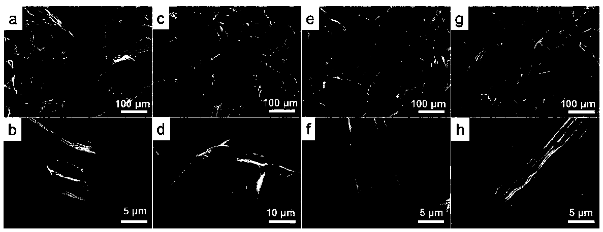 Hollow carbon fiber negative electrode material for lithium ion battery as well as preparation method and application thereof