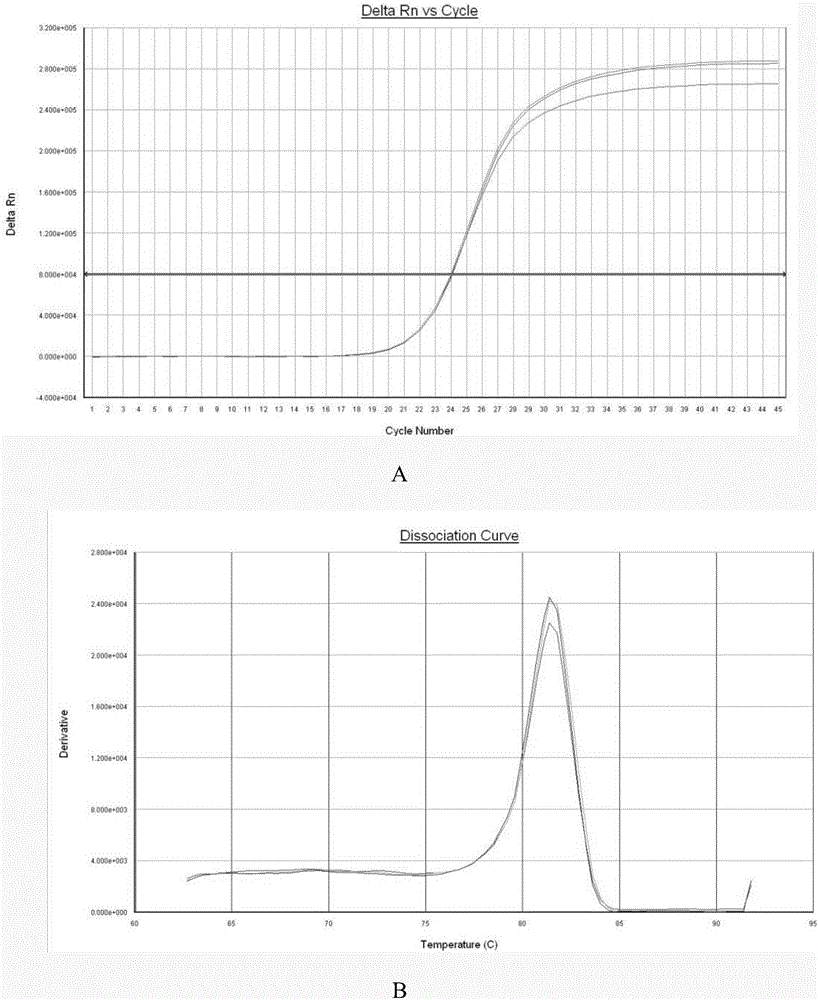 Liver cancer diagnosing reagent and kit using saliva as detection samples