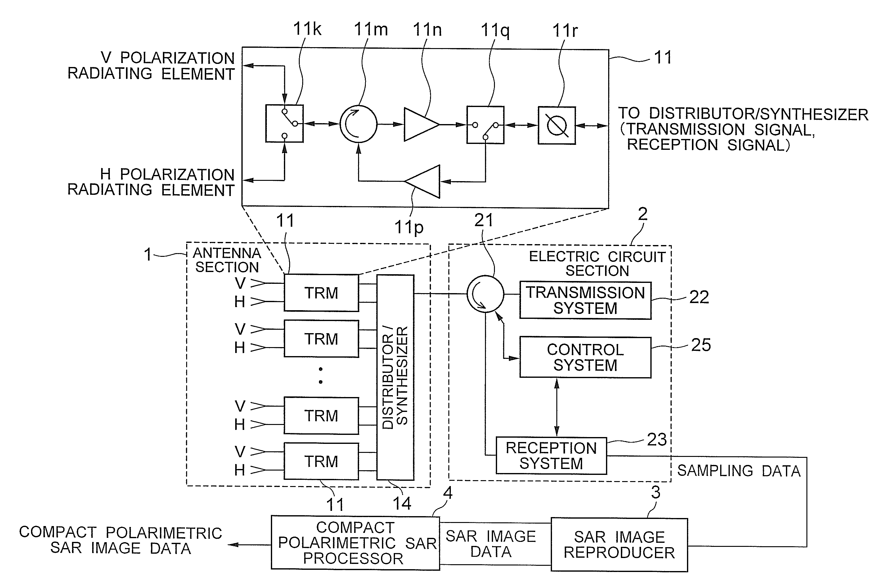 Synthetic aperture radar, compact polarimetric SAR processing method and program