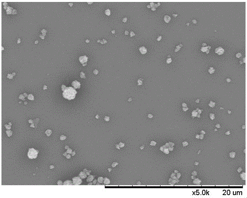 Method for synchronous enriching and desalinating bovine serum albumins by using novel solid phase extractant