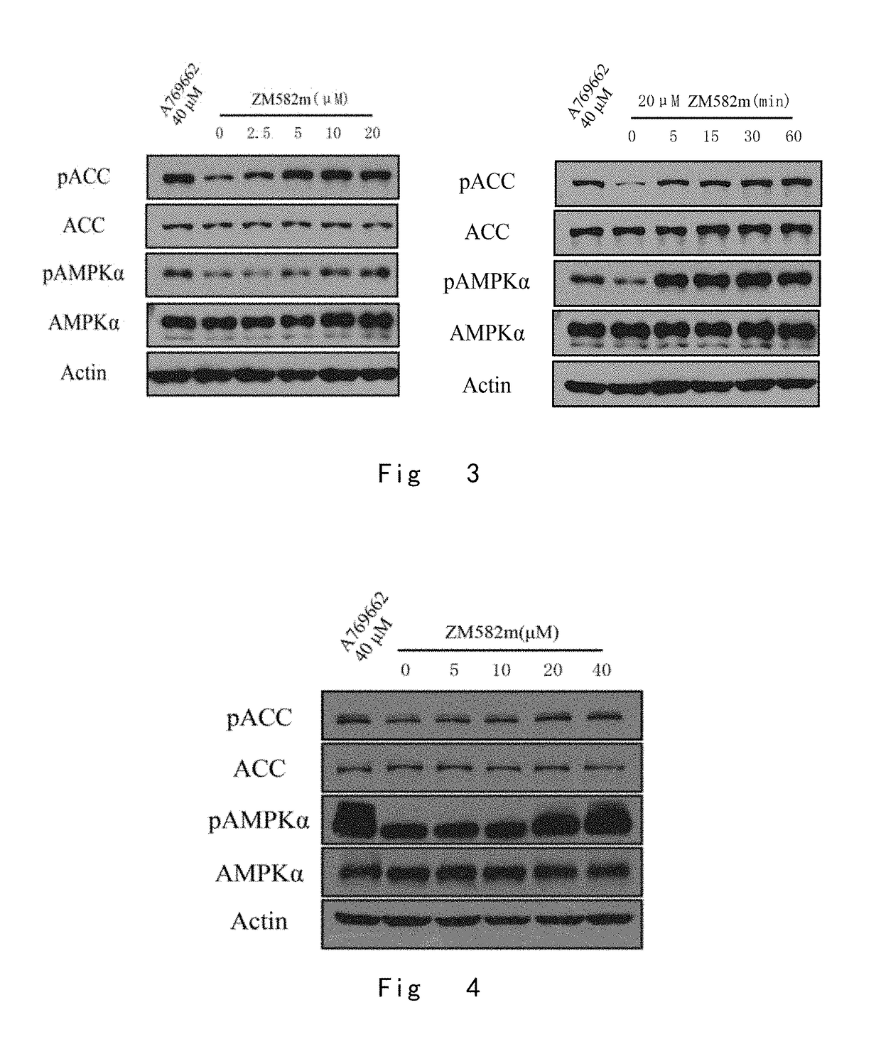 One class of pyrazolone compounds and use thereof