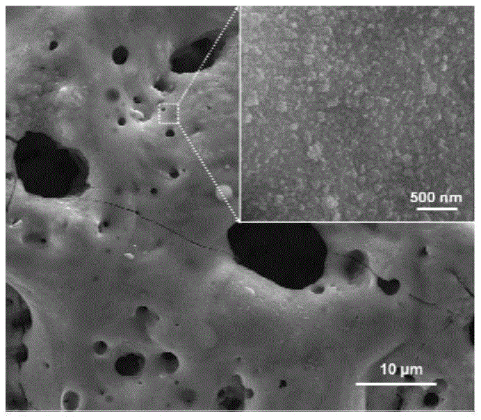 Zinc titanate-titanium oxide composite antibacterial coating on surface of titanium and preparation method of zinc titanate-titanium oxide composite antibacterial coating