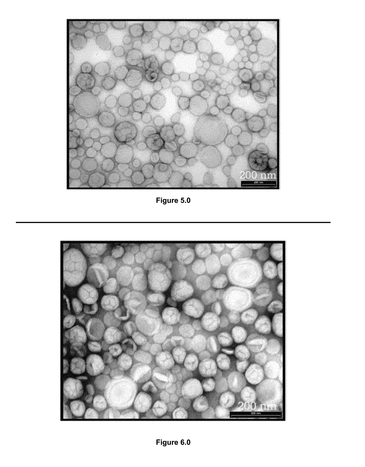 Apparatus and method for preparing cosmeceutical ingredients containing epi-dermal delivery mechanisms