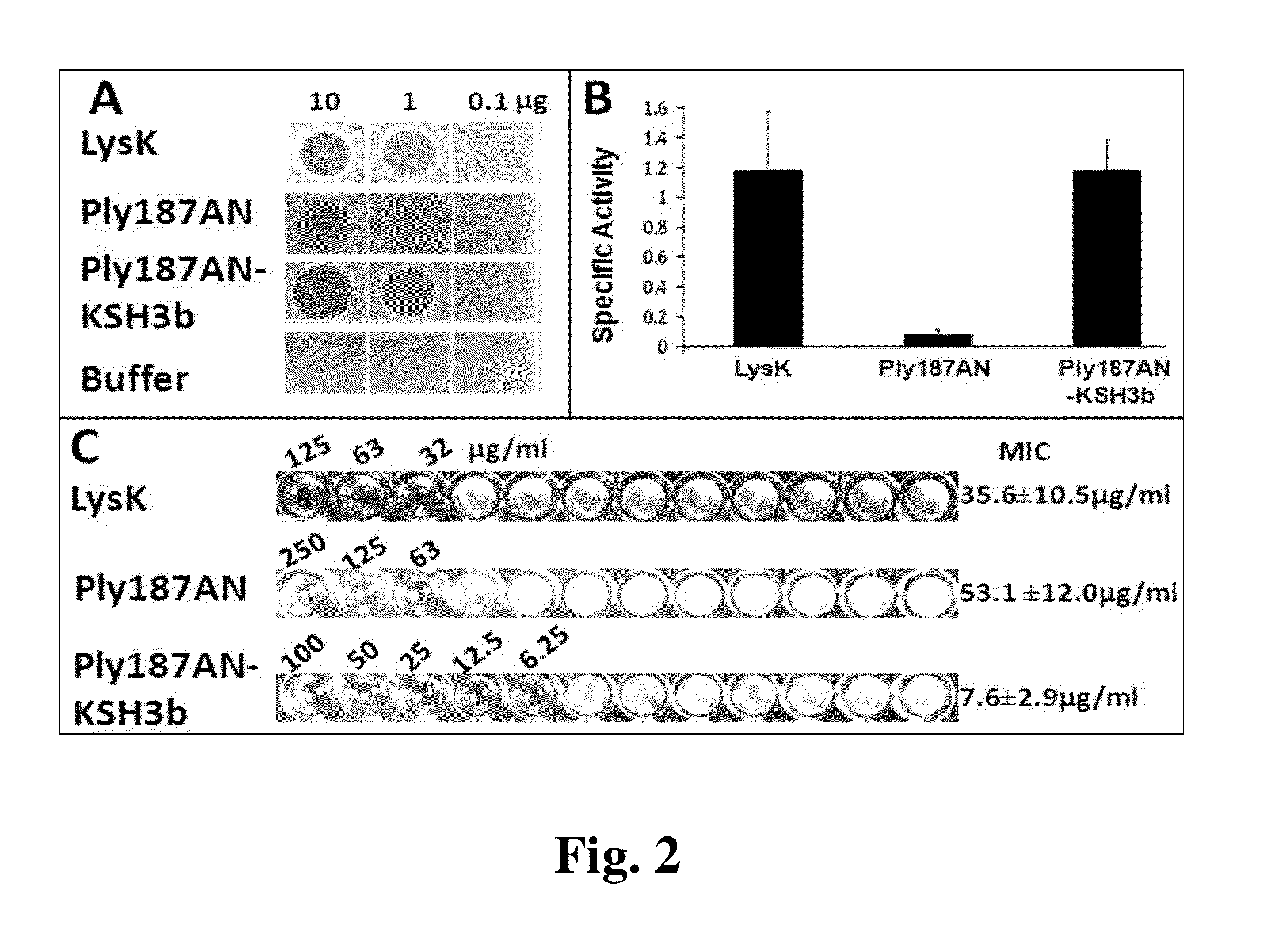 Enhanced antimicrobial lytic activity of a chimeric Ply187 endolysin