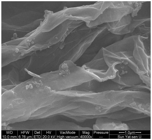 Semi-metal material Te nanowire/graphene hydrogel composite material as well as preparation method and application thereof