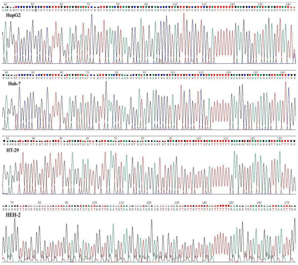 Early detection of liver cancer based on F12 gene methylation