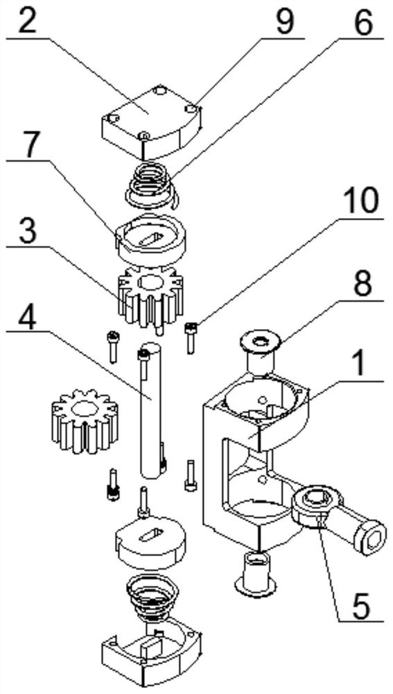 Strong-impact-resistant back shock absorber