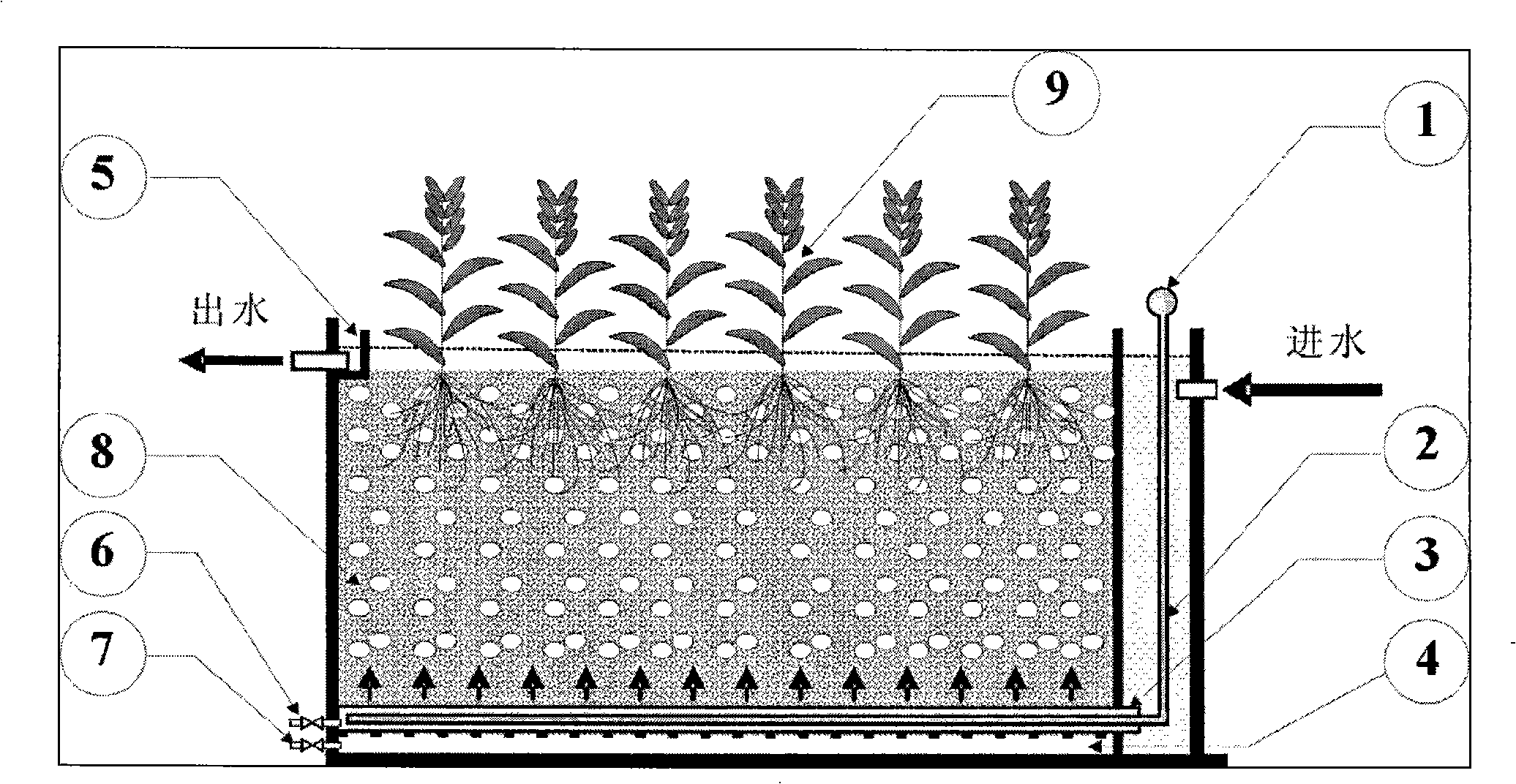 Micro-aeration vertical flow wetland sewage purification technology