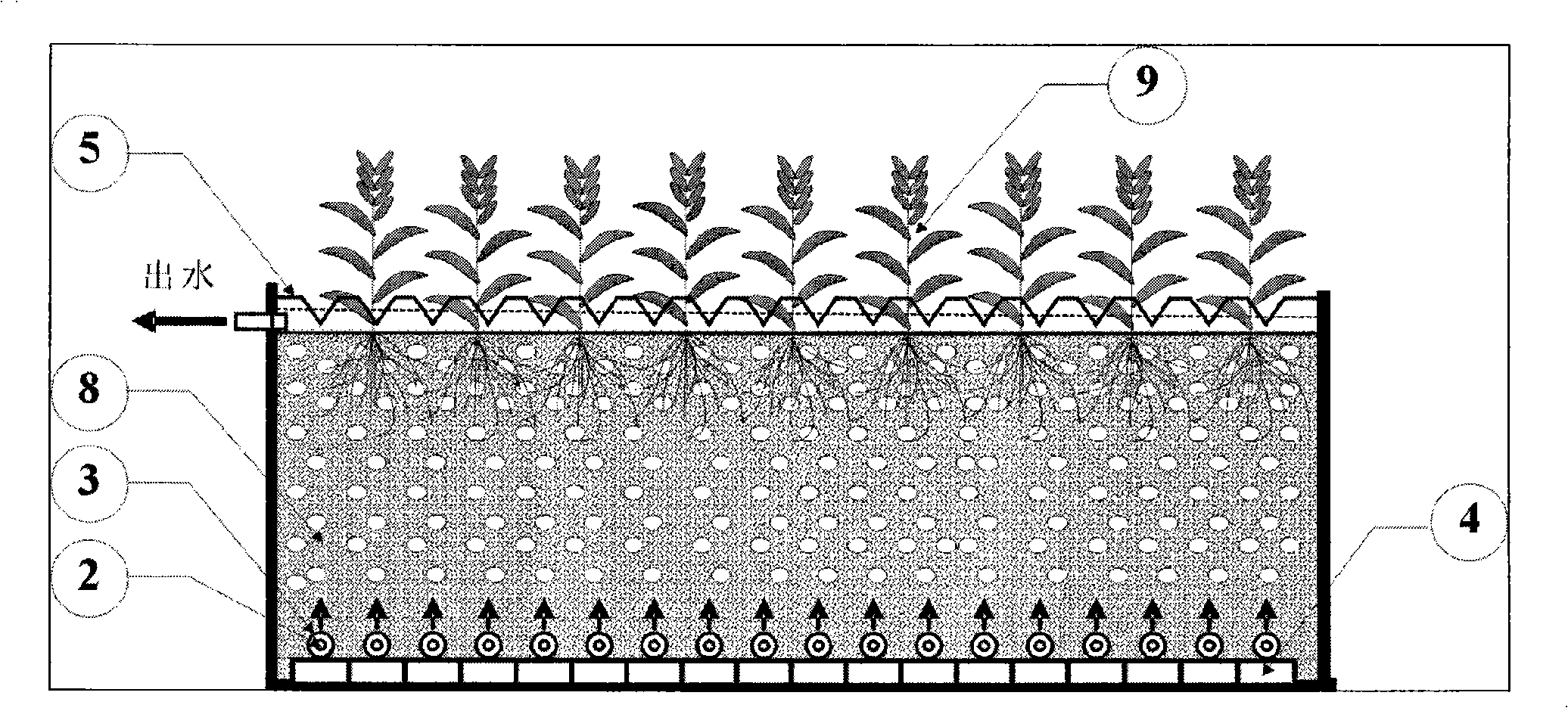 Micro-aeration vertical flow wetland sewage purification technology