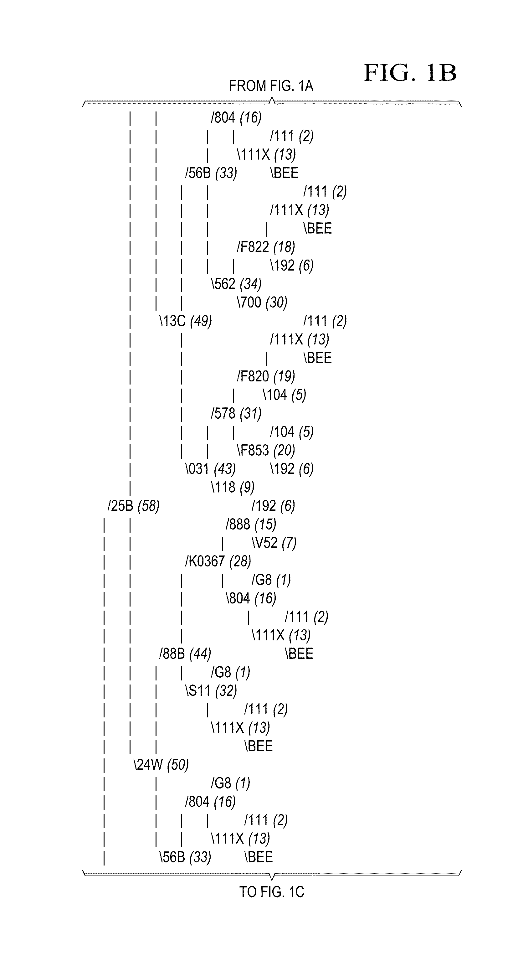 Non-dehiscent sesame IND variety Sesaco 34