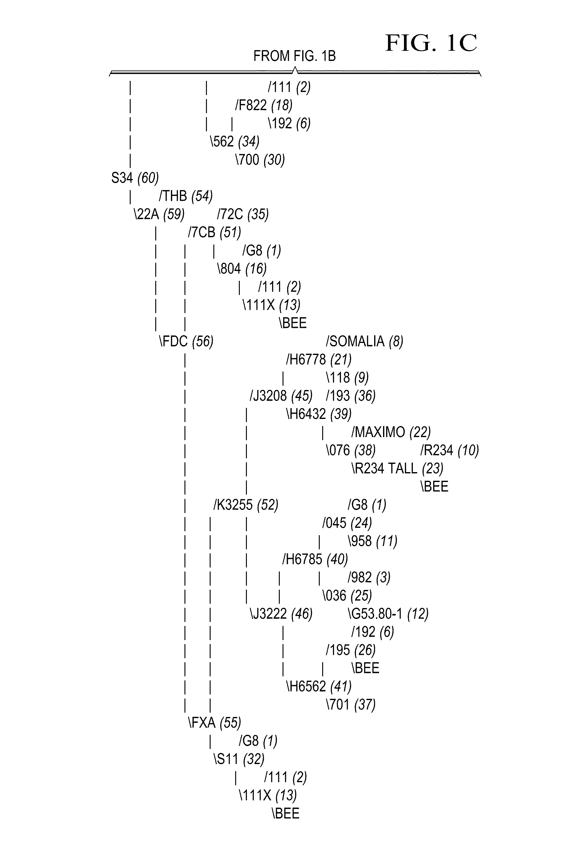 Non-dehiscent sesame IND variety Sesaco 34