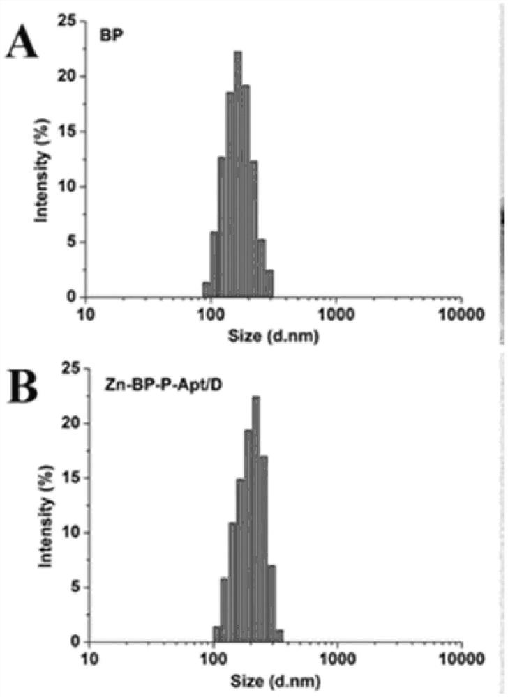 A kind of nano drug system targeting tumor and preparation method thereof