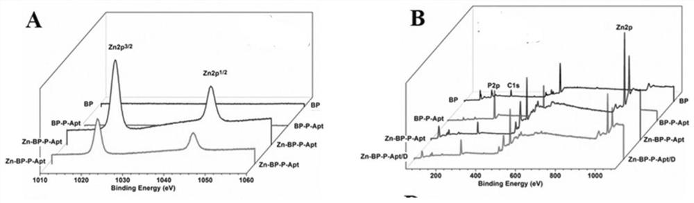 A kind of nano drug system targeting tumor and preparation method thereof