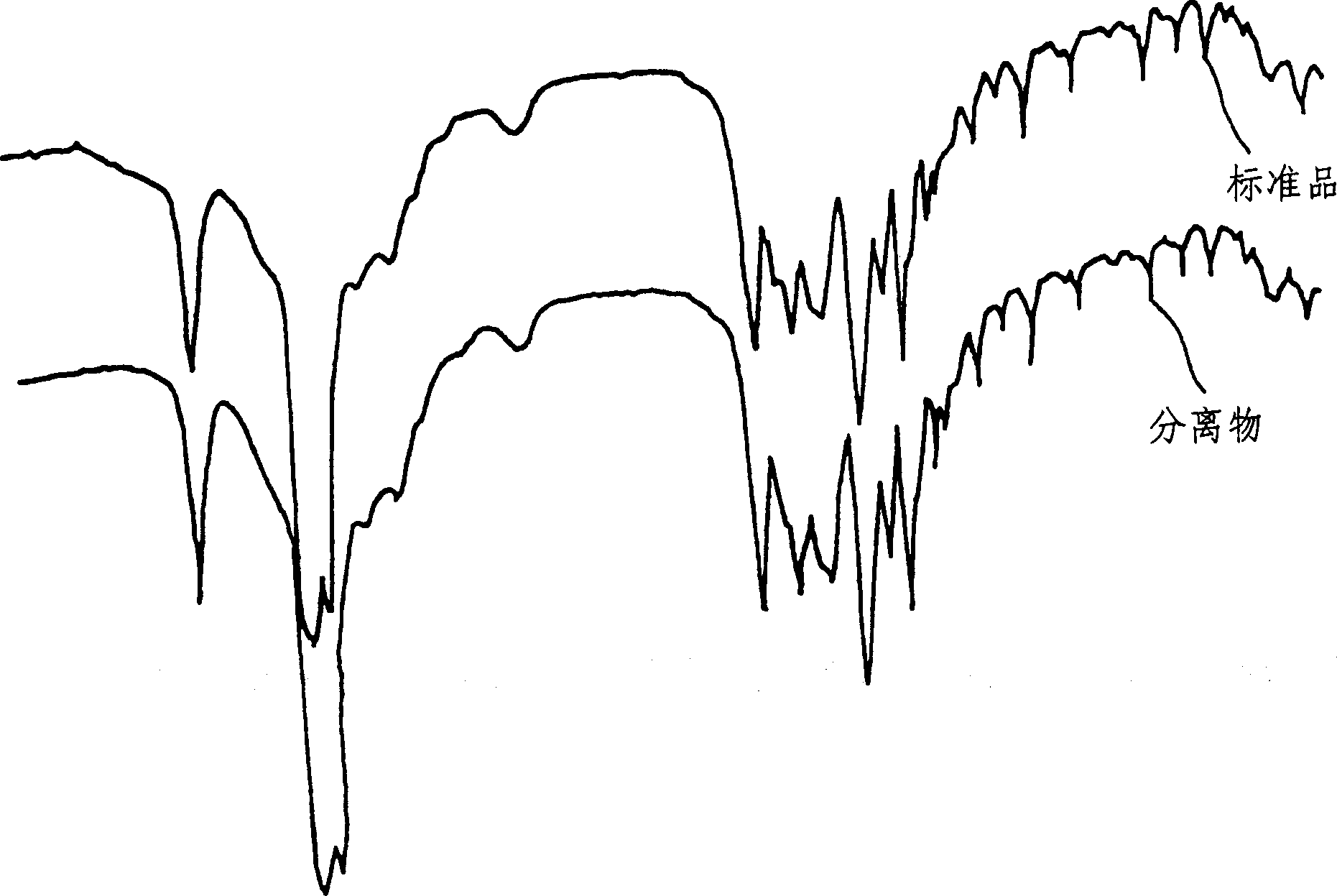 Process for producing theanine