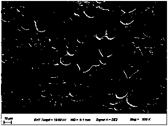 A kind of metallic glass composite material and preparation method thereof