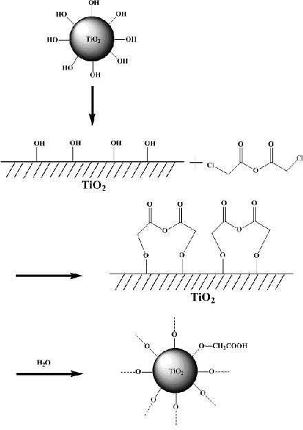 Modified titanium dioxide grain, super-hydrophilic transparent thin film and preparation method thereof