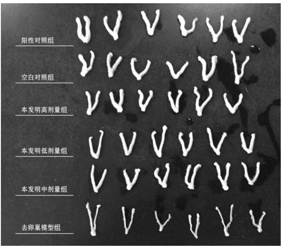 Health-care food capable of delaying female climacteric syndrome and preparation method thereof