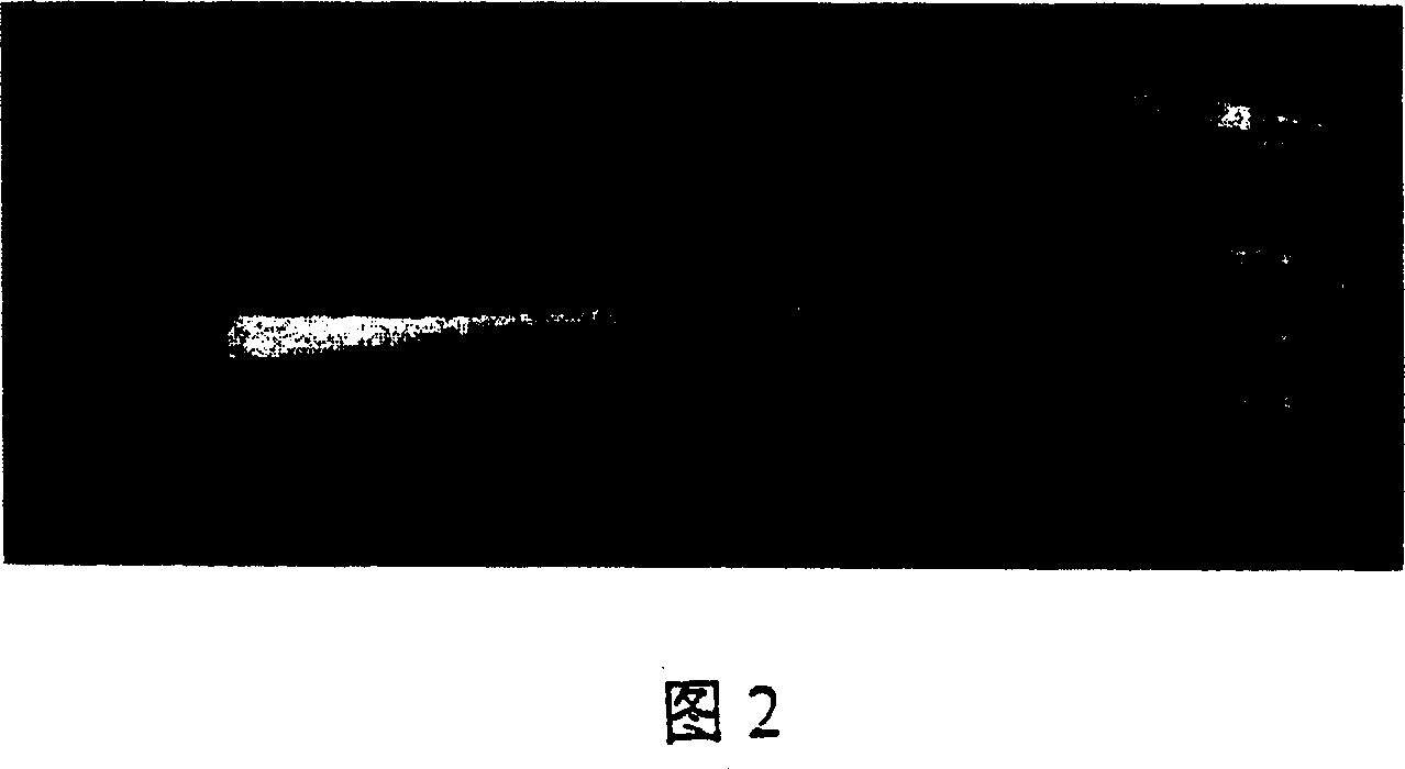 Crystalloid laminae composited from single crystal and directional column crystal and preparing method