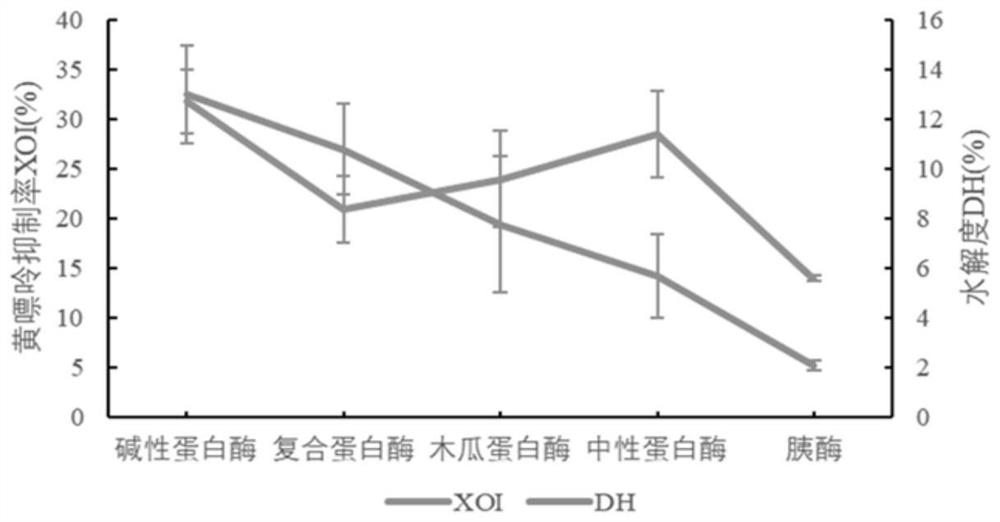 Kidney bean bioactive peptide and application thereof to preparation of uric acid reducing drugs