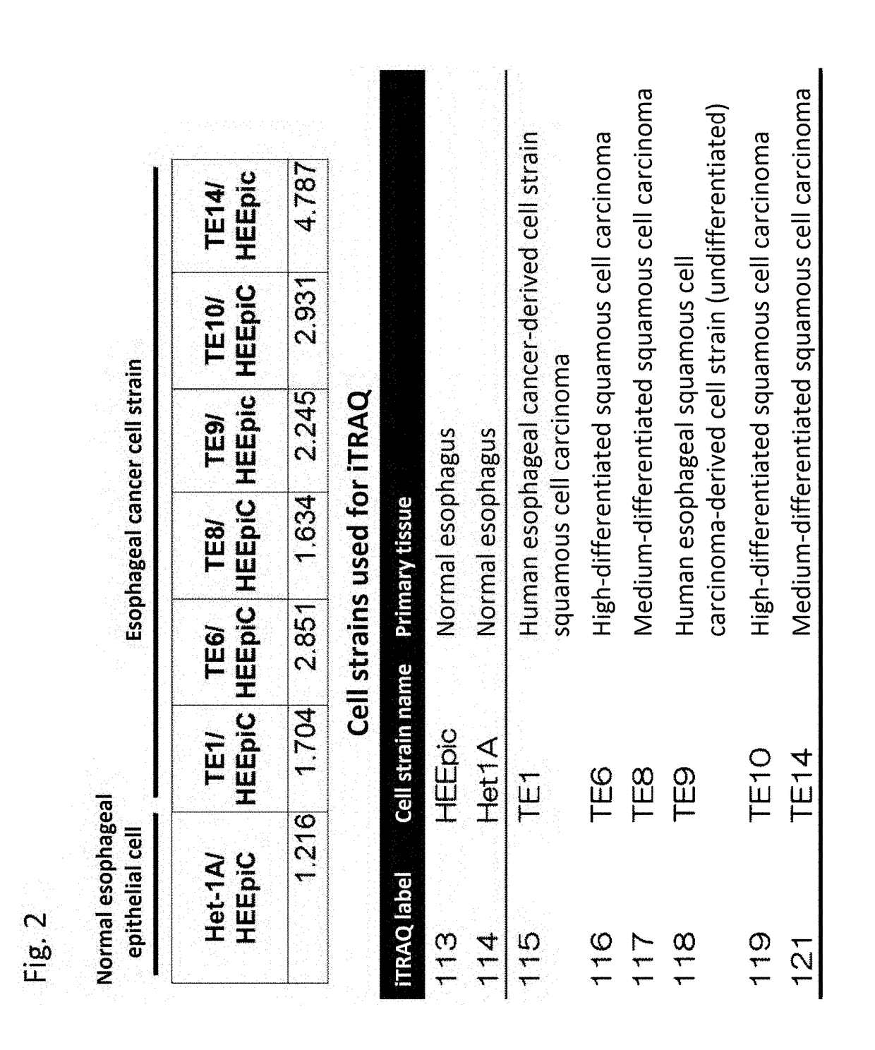 Esophageal cancer marker and use thereof