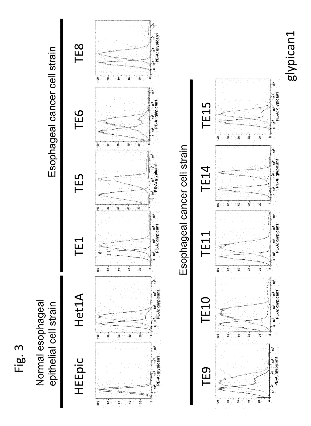 Esophageal cancer marker and use thereof