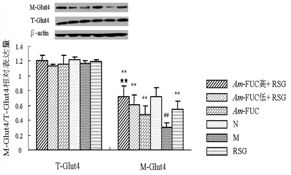 Application of trepang sulphated polysaccharide in preparation of drugs or products for resisting diabetes mellitus II