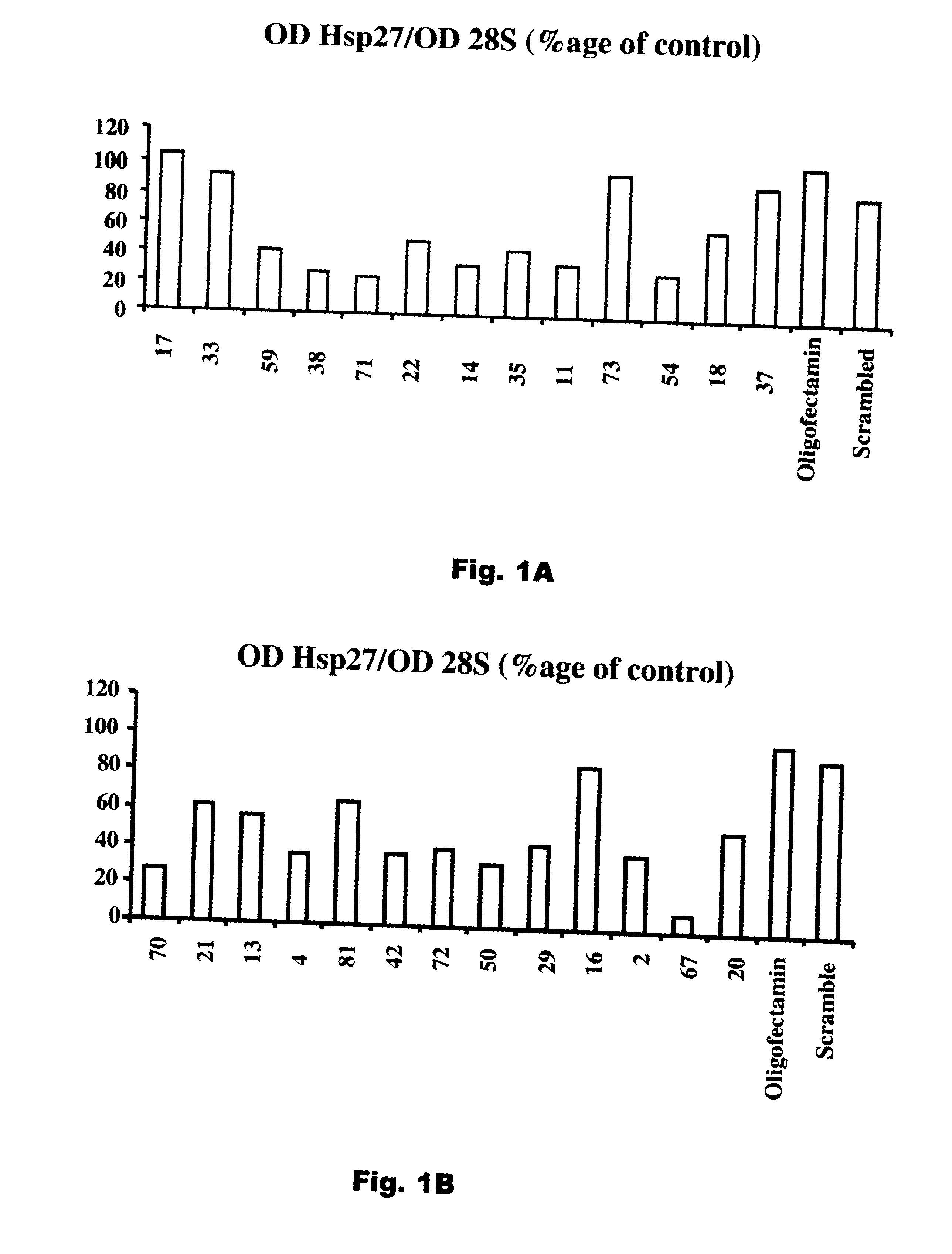 Compositions and Methods for Treatment of Prostate and Other Cancers