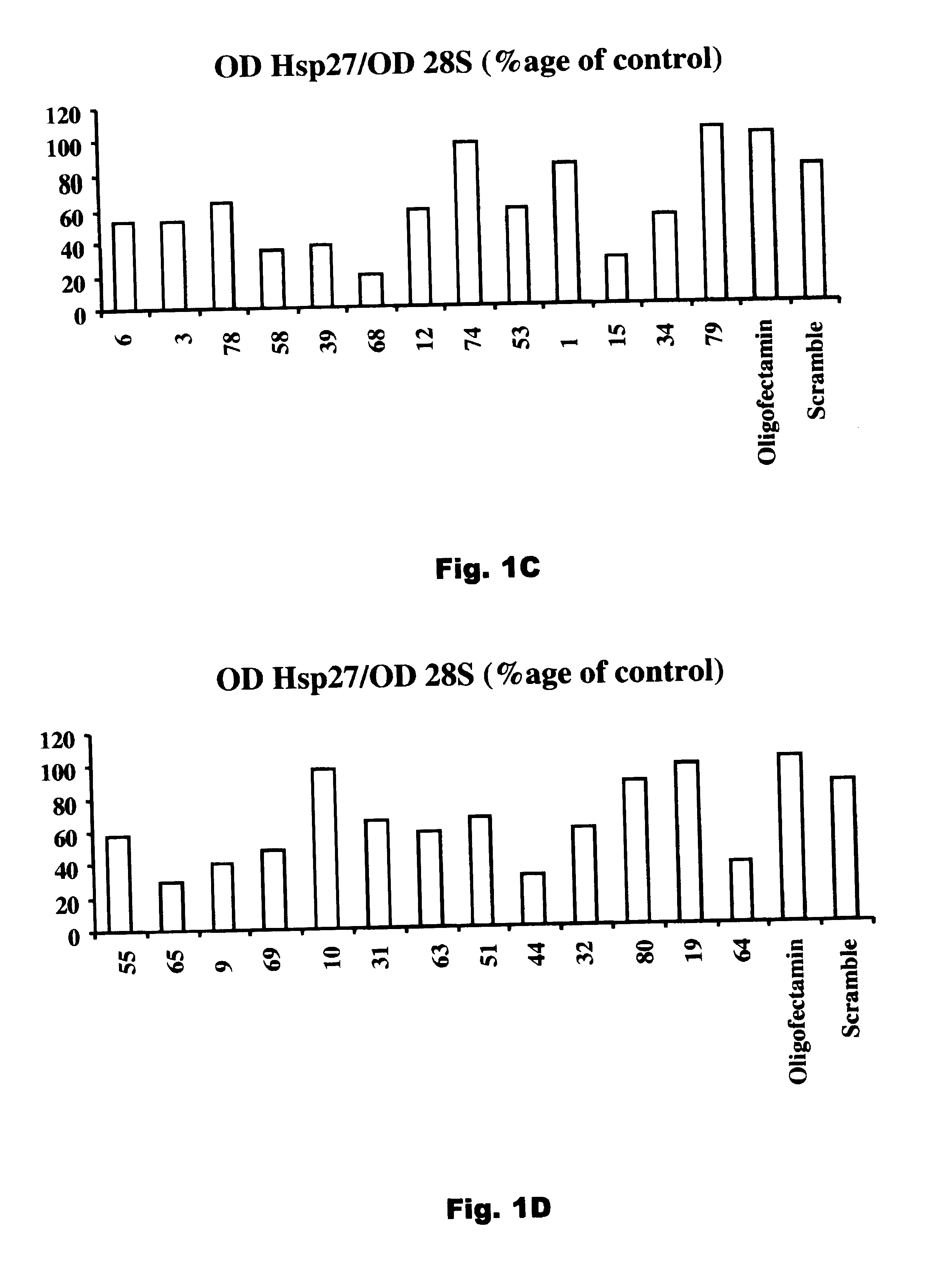 Compositions and Methods for Treatment of Prostate and Other Cancers