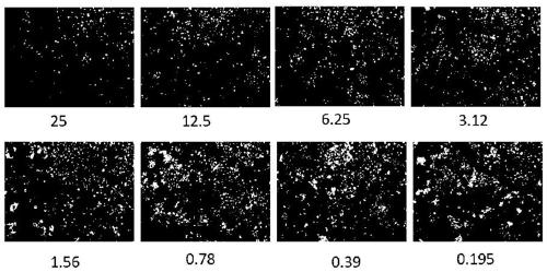 Anti-Ebola Virus Activity Screening Method of Small Molecule Synthesized Compound 1712