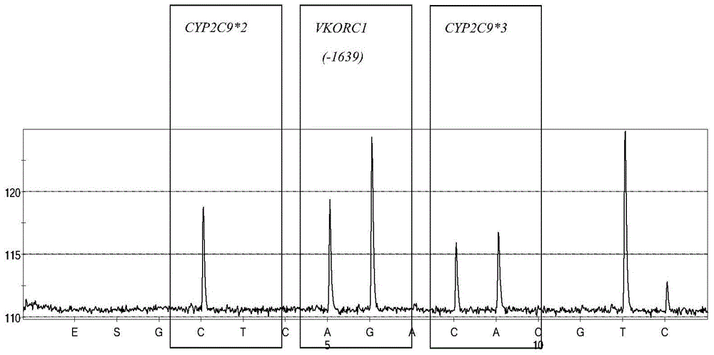 Kit for rapid detection of polymorphism of Warfarin metabolic enzyme gene by virtue of pyrosequencing method and application of kit