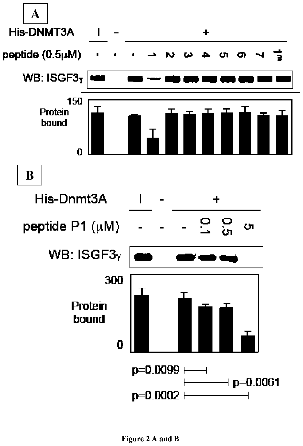 Method for treating and prognosing cancer