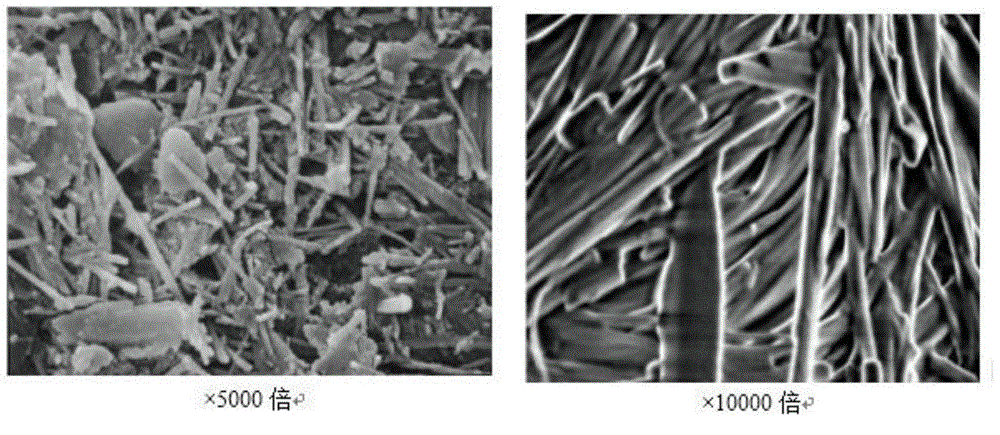 High efficiency composite expanding agent for high-strength self-stressing concrete filled steel tube and preparation method thereof