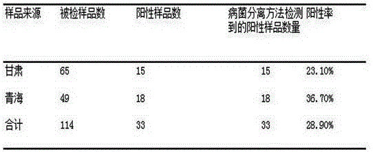 Staphylococcus Warner indirect blood coagulation detection kit and application thereof