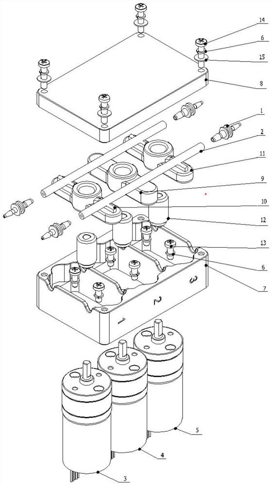 Double-path vertical extrusion type peristaltic pump