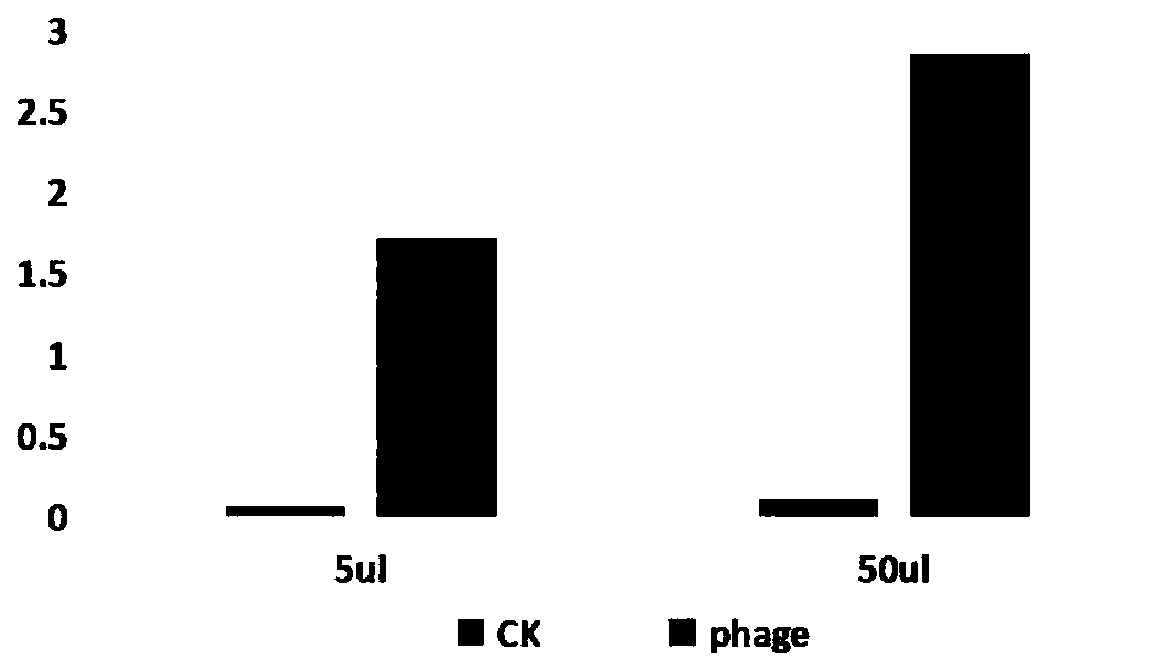 anti-human gpc3 monoclonal antibody