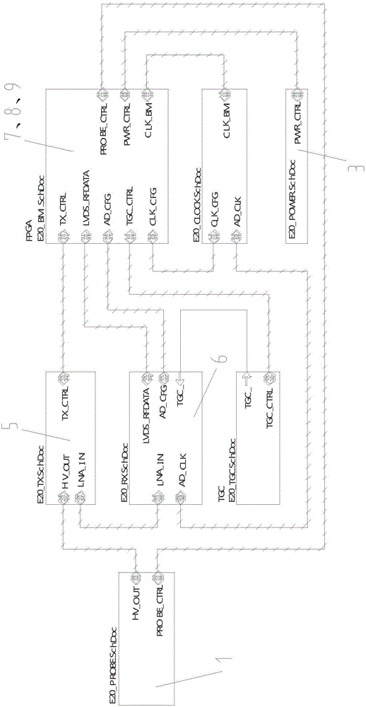 Ultrasonic follicle inspection tester and automatic analysis method thereof