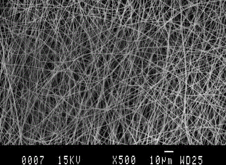 Cell-biological scaffold complex and 3D printing forming method thereof