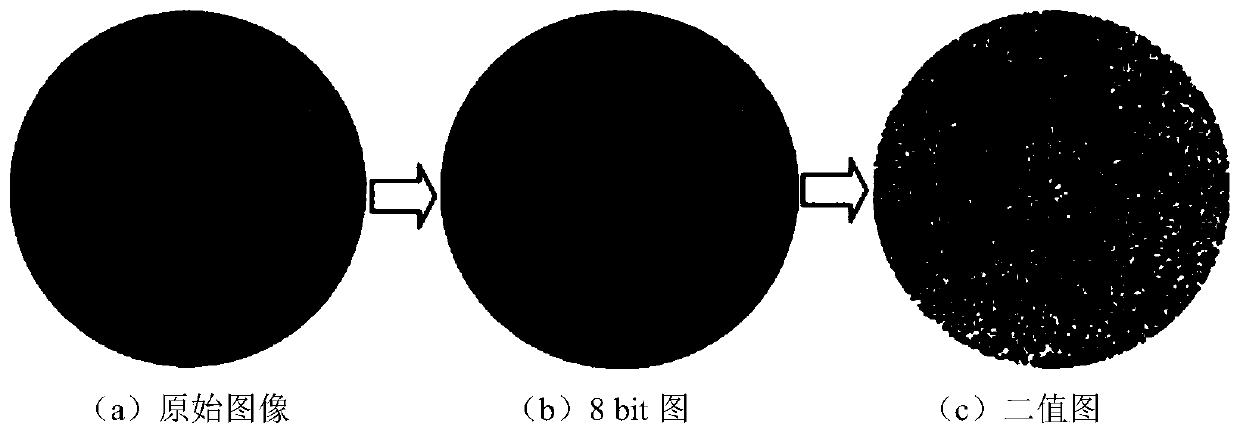 Image analysis method for spray freezing coating effect based on Image J