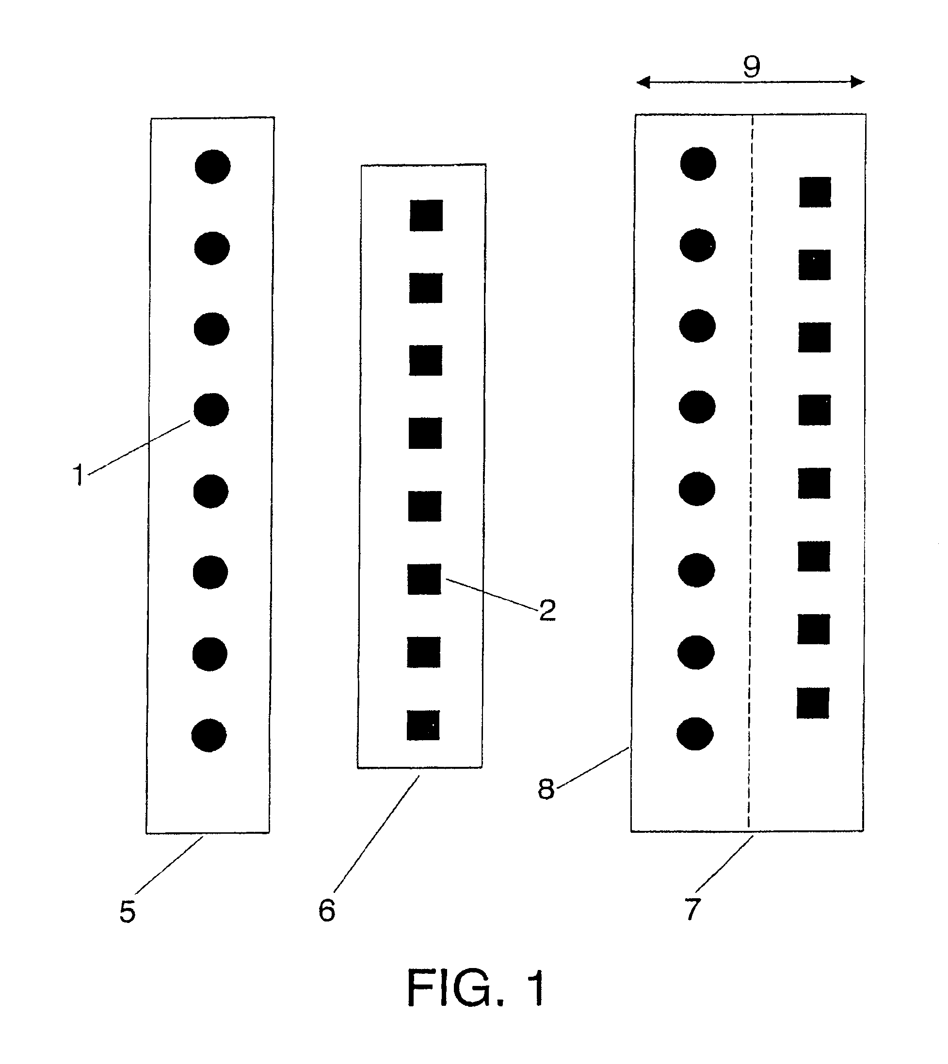 Dual-band dual-polarized antenna array