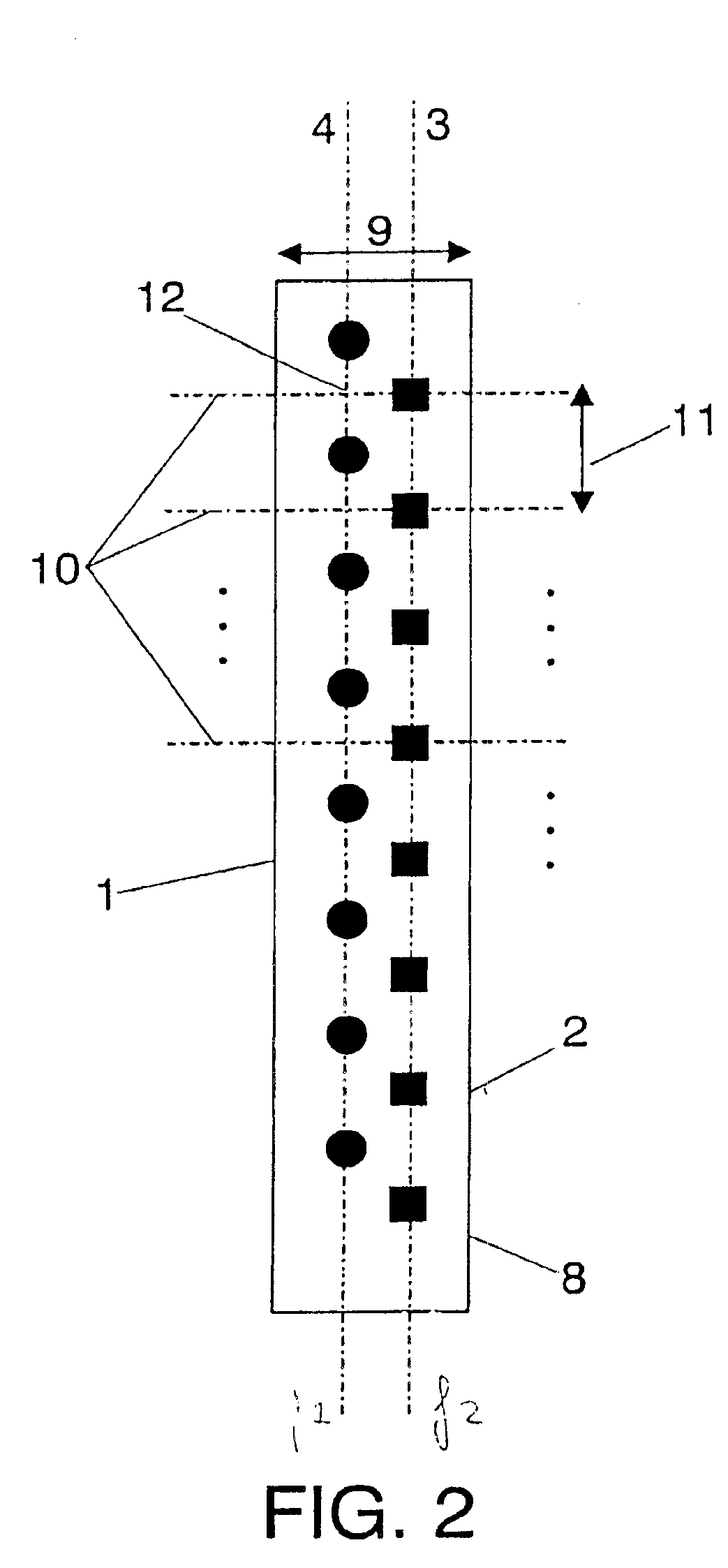 Dual-band dual-polarized antenna array