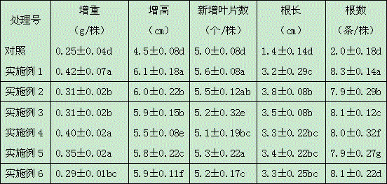 Planting method for edible orchidaceae plants