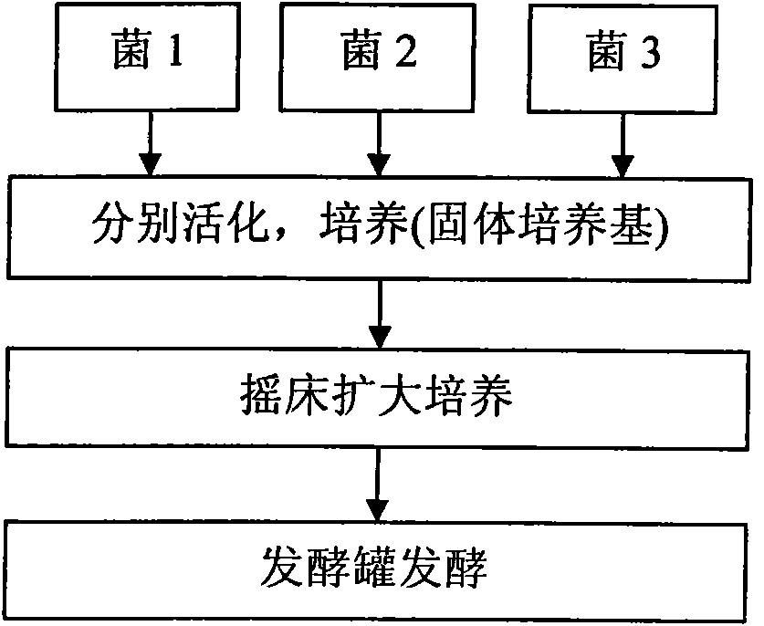 Granular type compound microbial bacterial agent as well as preparation method and application thereof