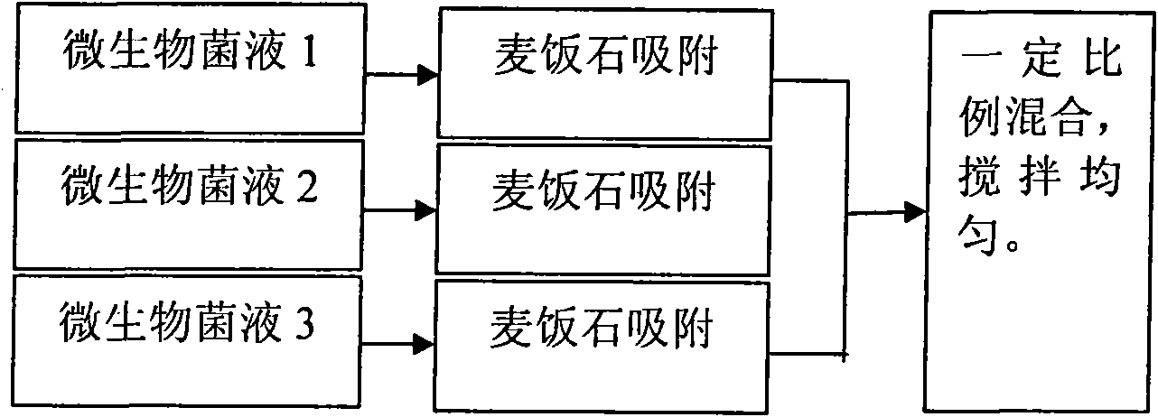 Granular type compound microbial bacterial agent as well as preparation method and application thereof