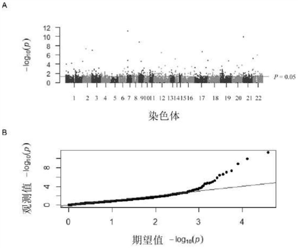 Non-syndromic cleft lip and palate genetic risk prediction model