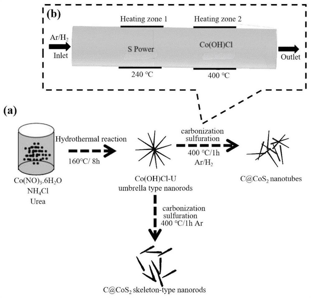 Preparation method of C/CoS2 nanotube structure regulated and controlled by self-template