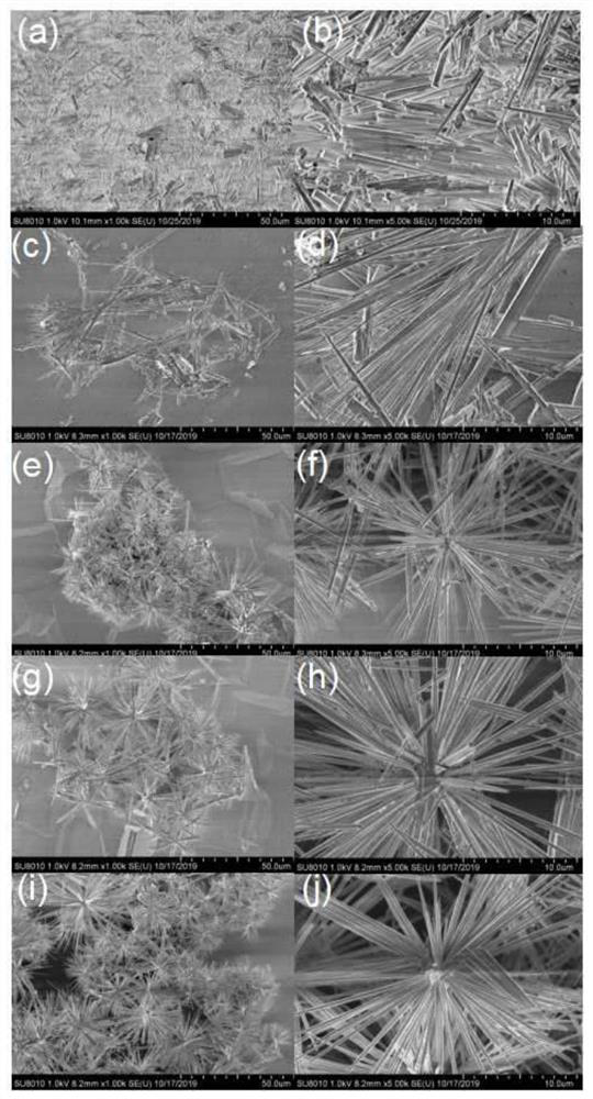 Preparation method of C/CoS2 nanotube structure regulated and controlled by self-template