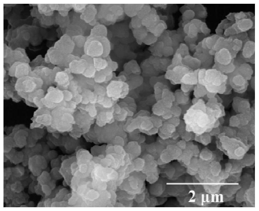 A method for the enrichment and detection of sulfonamide antibiotics based on porous covalent organic nitrogen framework materials