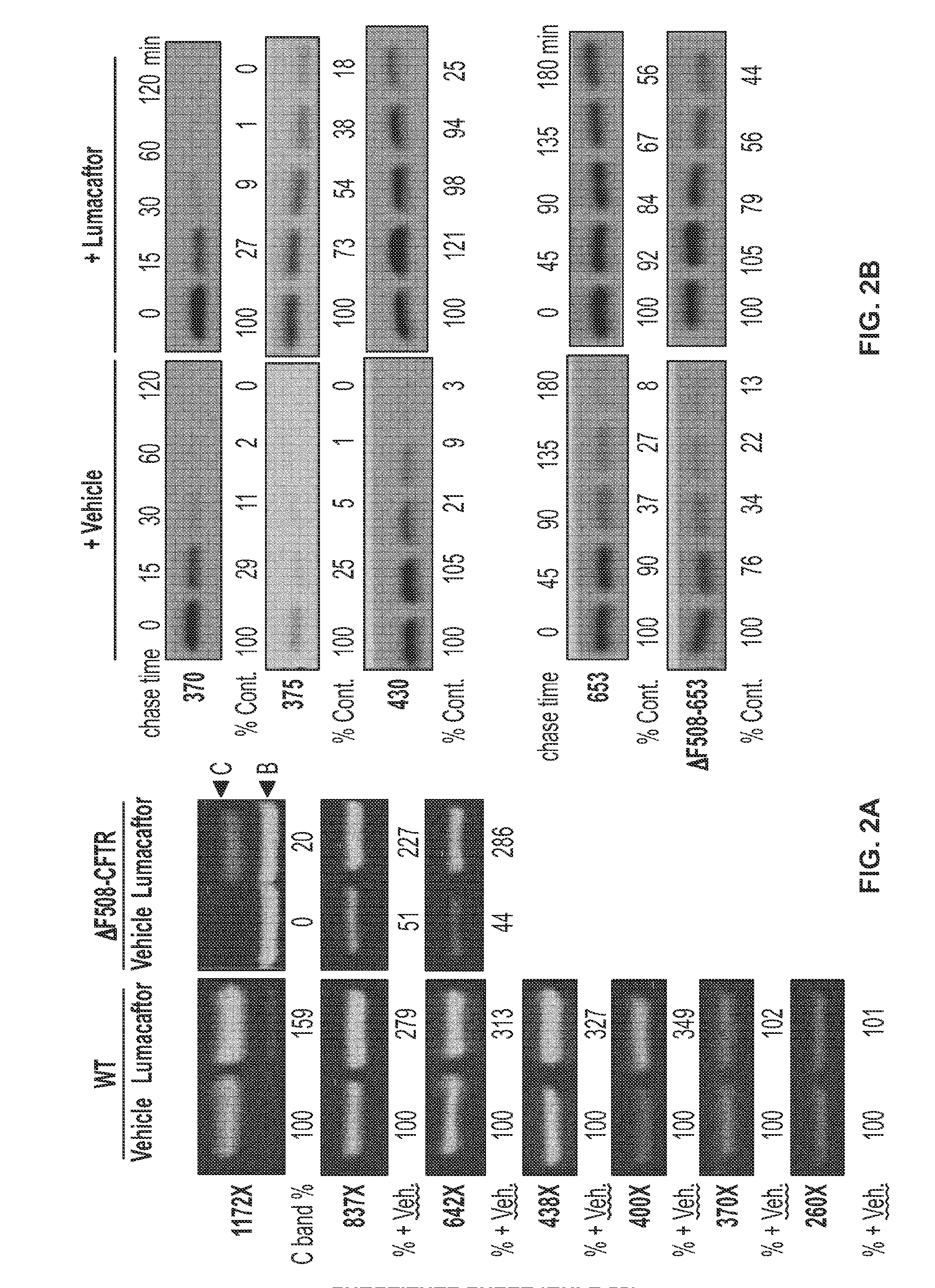 Correctors acting through msd1 of cftr protein